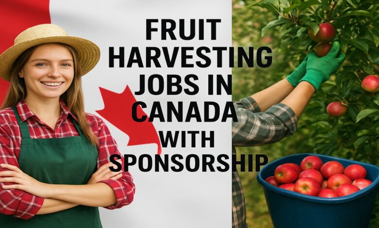 Fruit Harvesting Jobs In Canada With Sponsorship