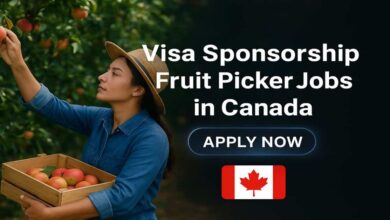 Visa Sponsorship Fruit Picker Jobs in Canada