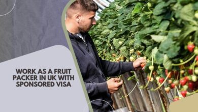 Work As A Fruit Packer In UK with Sponsored Visa