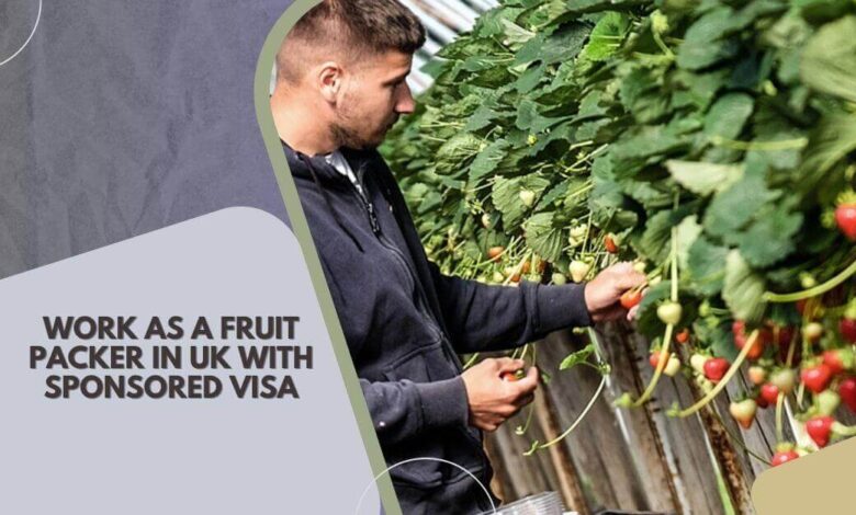 Work As A Fruit Packer In UK with Sponsored Visa