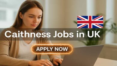 Caithness Jobs in UK