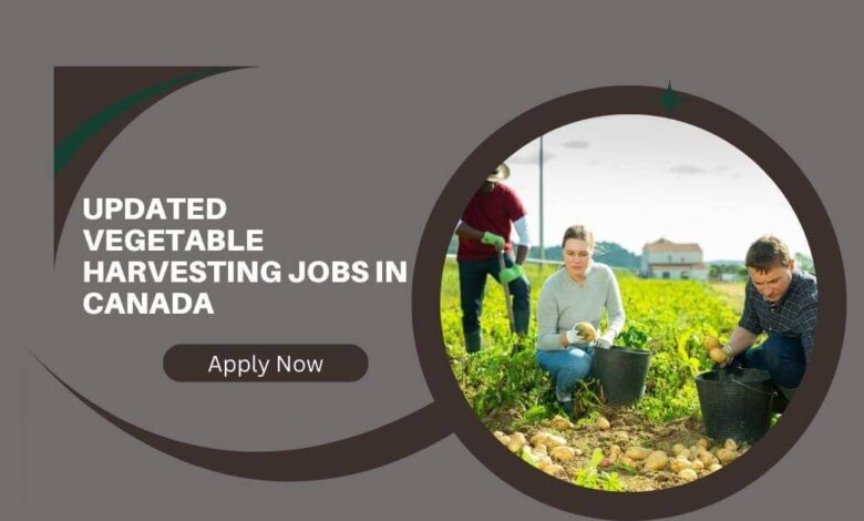 Updated Vegetable Harvesting Jobs In Canada