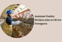 Assistant Poultry Workers Jobs in UK For Foreigners