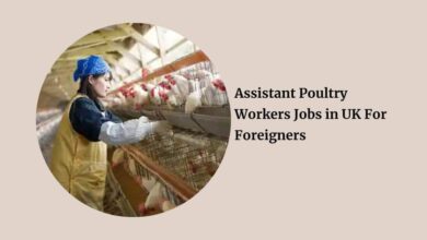 Assistant Poultry Workers Jobs in UK For Foreigners