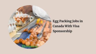 Egg Packing Jobs in Canada With Visa Sponsorship