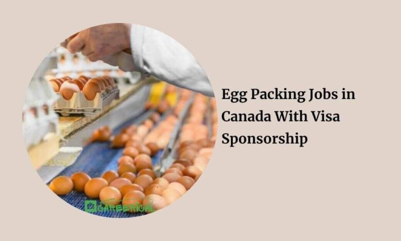 Egg Packing Jobs in Canada With Visa Sponsorship