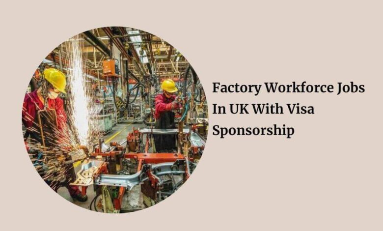 Factory Workforce Jobs In UK With Visa Sponsorship