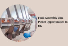 Food Assembly Line Picker Opportunities In UK