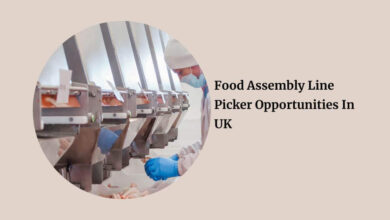 Food Assembly Line Picker Opportunities In UK