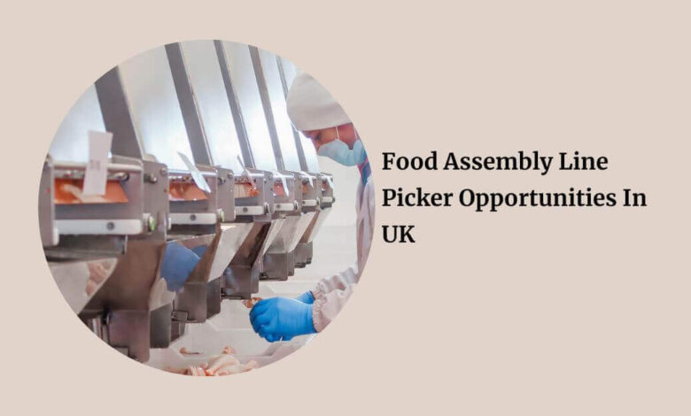 Food Assembly Line Picker Opportunities In UK