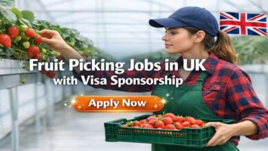 Fruit Picking Jobs in UK with Visa Sponsorship