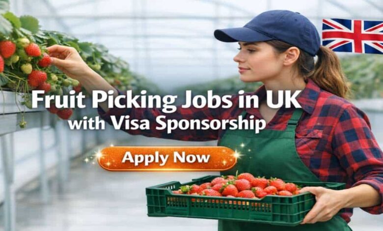 Fruit Picking Jobs in UK with Visa Sponsorship