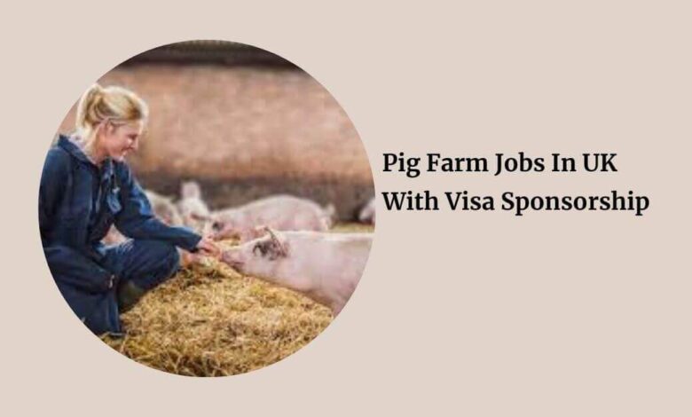 Pig Farm Jobs In UK With Visa Sponsorship