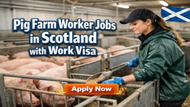 Pig Farm Worker Jobs in Scotland with Work Visa