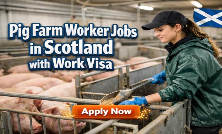 Pig Farm Worker Jobs in Scotland with Work Visa
