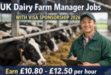 UK Dairy Farm Manager Jobs with Visa Sponsorship