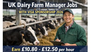 UK Dairy Farm Manager Jobs with Visa Sponsorship