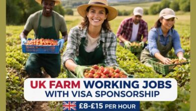 UK Farm Working Jobs with Visa Sponsorship