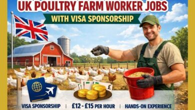 UK Poultry Farm Worker Jobs With Visa Sponsorship