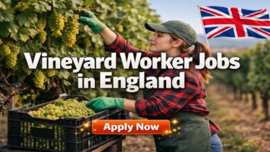 Vineyard Worker Jobs in England