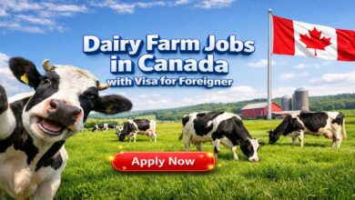 Dairy Farm Jobs in Canada with Visa for Foreigner