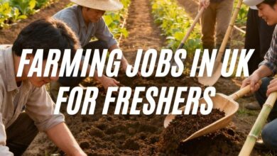 Farming Jobs in UK for Freshers