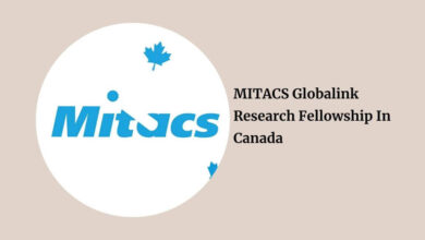 MITACS Globalink Research Fellowship In Canada