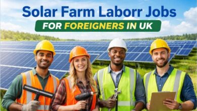 Solar Farm Labour Jobs For Foreigners in UK