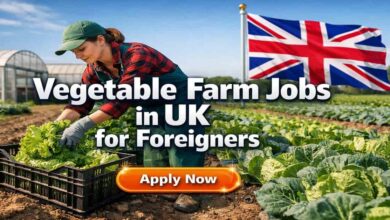 Vegetable Farm Jobs in UK for Foreigners
