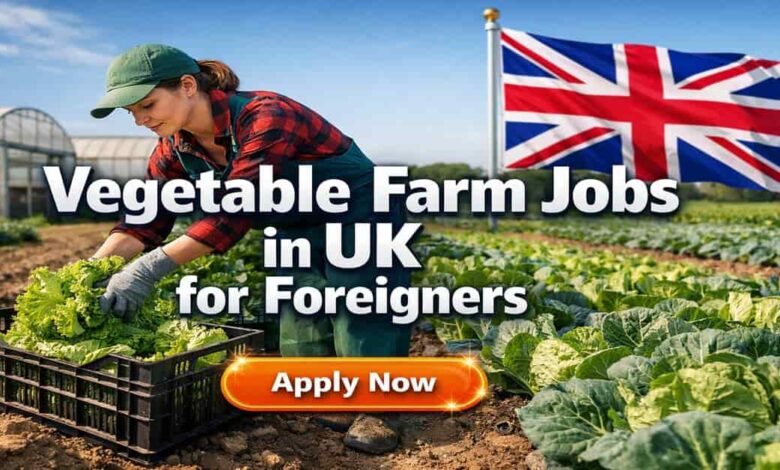 Vegetable Farm Jobs in UK for Foreigners