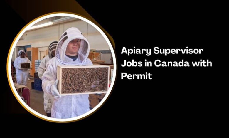 Apiary Supervisor Jobs in Canada with Permit