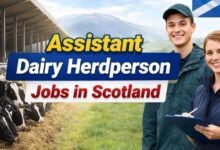 Assistant Dairy Herdperson Jobs in Scotland