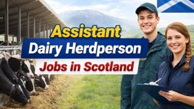 Assistant Dairy Herdperson Jobs in Scotland