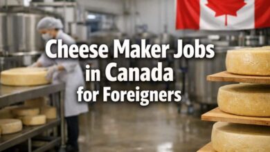 Cheese Maker Jobs in Canada for Foreigners