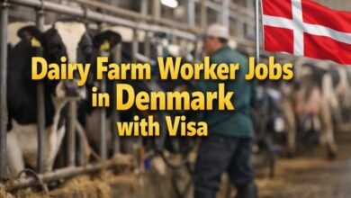 Dairy Farm Worker Jobs in Denmark with Visa