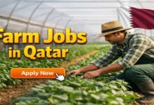 Farm Jobs in Qatar