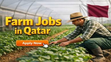 Farm Jobs in Qatar