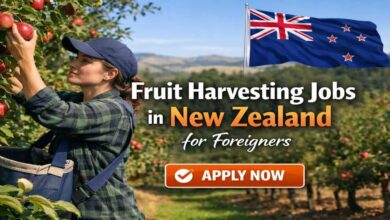 Fruit Harvesting Jobs in New Zealand for Foreigners