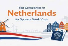 Top Companies in Netherlands for Sponsor Work Visas