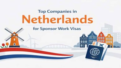 Top Companies in Netherlands for Sponsor Work Visas