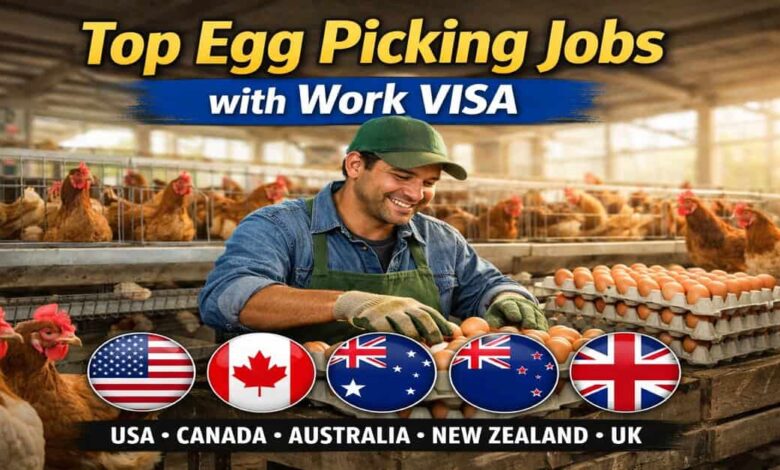 Top Egg Picking Jobs with Work VISA