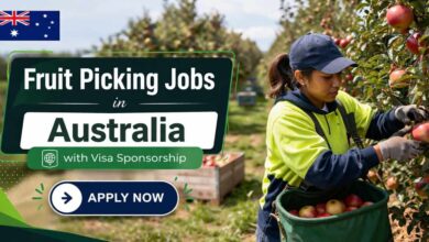 Fruit Picking Jobs in Australia with Visa Sponsorship