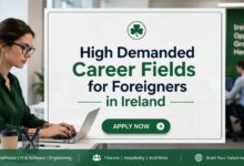 High Demanded Career Fields for Foreigners in Ireland