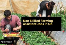 Non Skilled Farming Assistant Jobs In UK