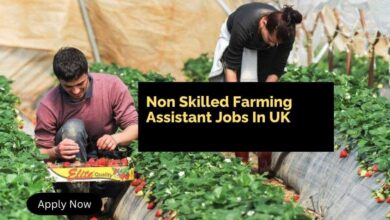 Non Skilled Farming Assistant Jobs In UK