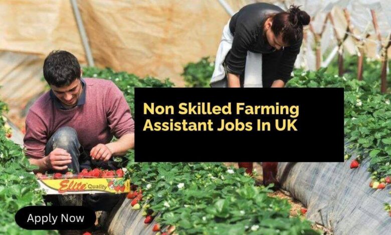 Non Skilled Farming Assistant Jobs In UK