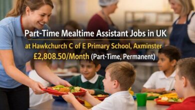Part-Time Mealtime Assistant Jobs in UK