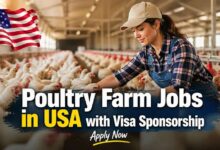 Poultry Farm Jobs in USA with Visa Sponsorship