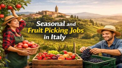 Seasonal and Fruit Picking Jobs in Italy