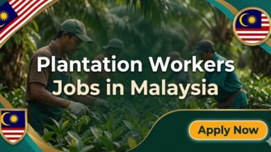 Plantation Workers Jobs in Malaysia